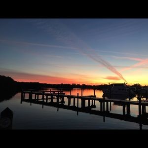 Meet your Posher, Tammie